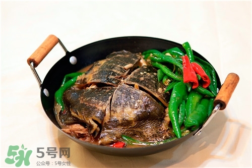 甲魚湯是涼性的嗎？甲魚湯的禁忌人群