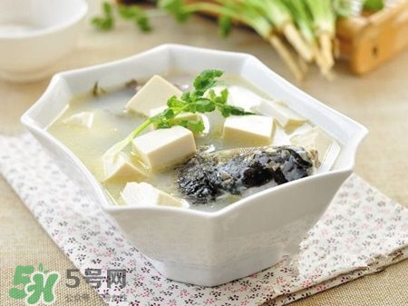 孕婦鯽魚湯可以放姜嗎？孕婦鯽魚湯能放料酒嗎？