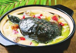 甲魚湯下奶嗎？下奶的食物有哪些？