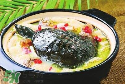 甲魚湯下奶嗎？下奶的食物有哪些？