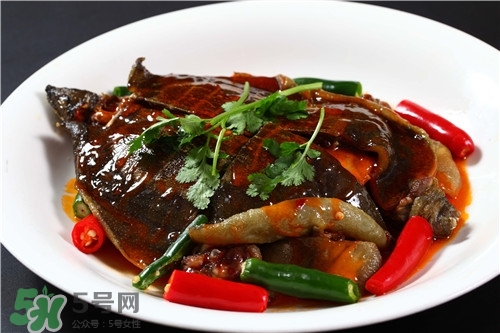 甲魚湯是涼性的嗎？甲魚湯的禁忌人群