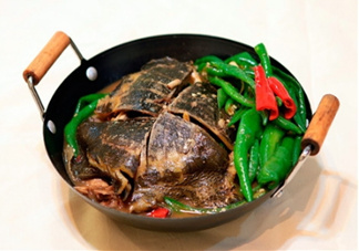 甲魚湯是涼性的嗎？甲魚湯的禁忌人群