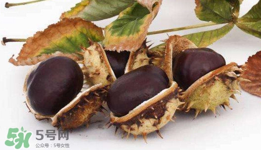 板栗殼怎么好剝？怎樣剝板栗殼最快