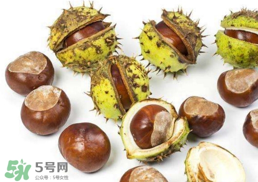 板栗殼怎么好剝？怎樣剝板栗殼最快