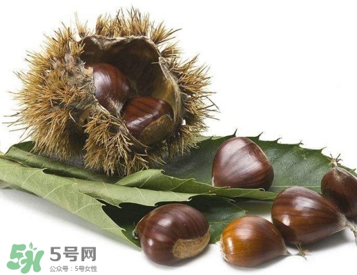 板栗殼里面的皮能吃嗎？板栗殼有什么作用