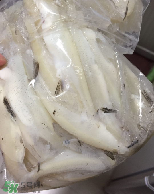 銀魚可以煲粥嗎？銀魚可以包餃子嗎？