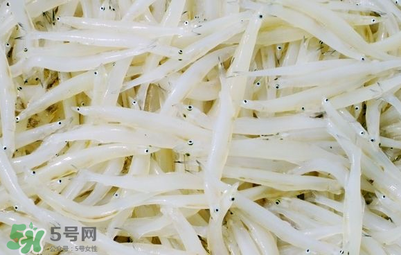 銀魚可以煲粥嗎？銀魚可以包餃子嗎？