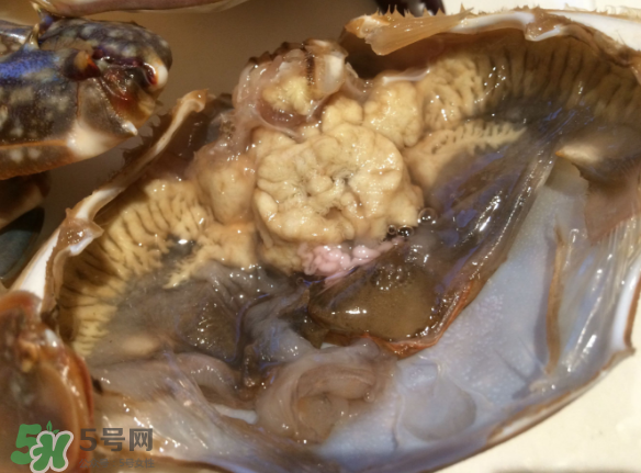 梭子蟹是野生的嗎？梭子蟹養(yǎng)的還是野生的？