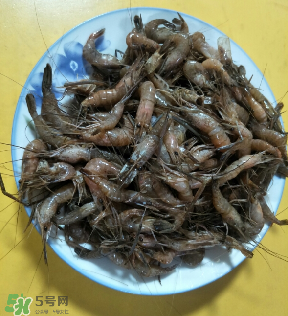 河蝦是發(fā)物嗎？河蝦是不是發(fā)物？