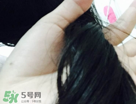 歐萊雅護(hù)發(fā)精油哪款好？歐萊雅護(hù)發(fā)精油和愛茉莉精油對比