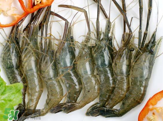 河蝦是海鮮嗎？河蝦屬于海鮮嗎？
