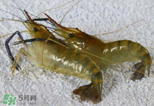 河蝦是酸性還是堿性？河蝦是涼性還是熱性？