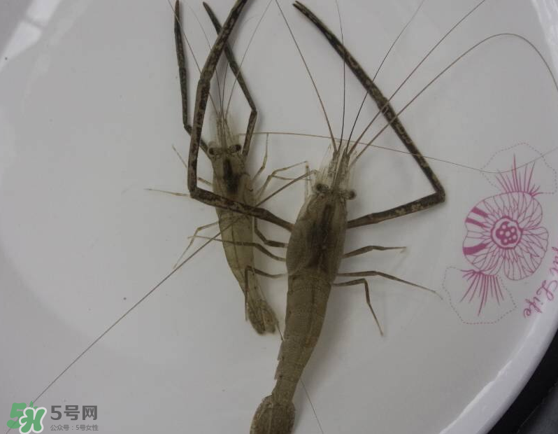 河蝦可以和牛奶同食嗎？河蝦和牛奶能一起吃嗎？