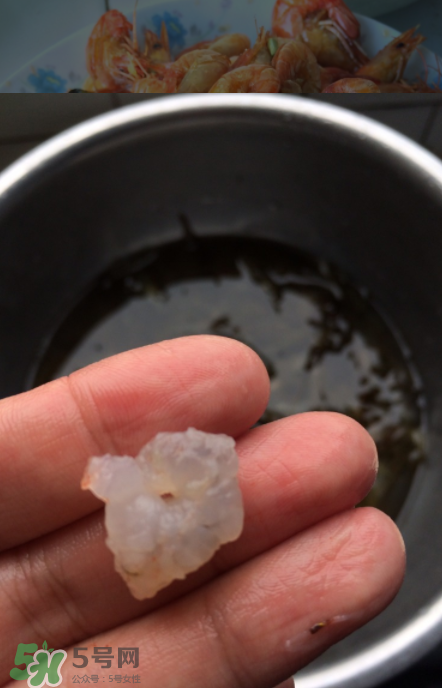 河蝦可以放冰箱嗎？河蝦在冰箱能放幾天？