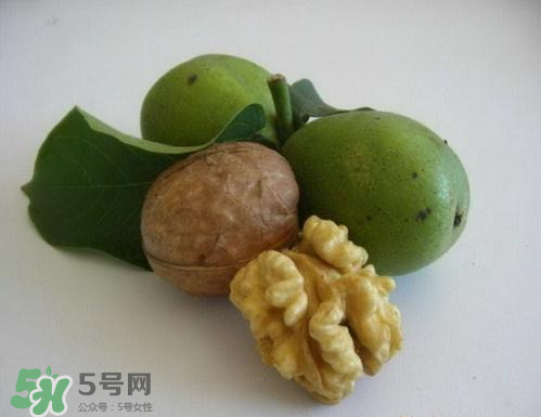 鮮核桃和干核桃哪個(gè)更有營(yíng)養(yǎng)？鮮核桃和干核桃哪個(gè)營(yíng)養(yǎng)價(jià)值高？