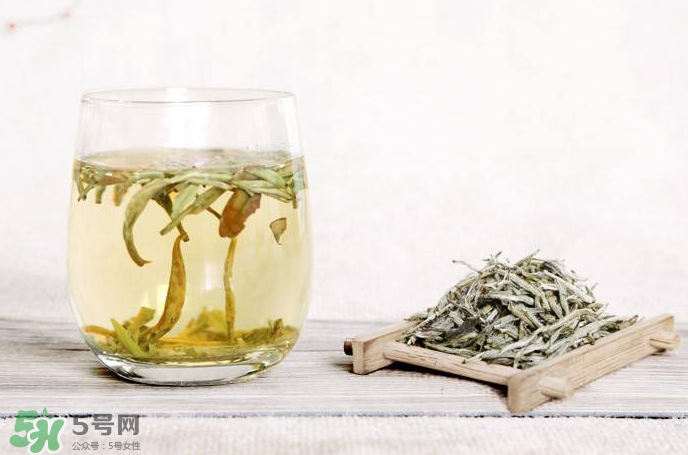 白毫銀針屬于綠茶嗎？白毫銀針是什么茶？