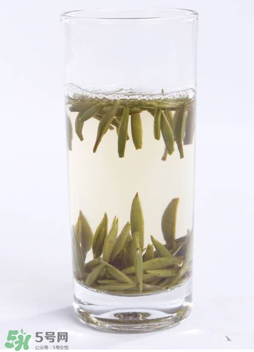 白毫銀針屬于綠茶嗎？白毫銀針是什么茶？