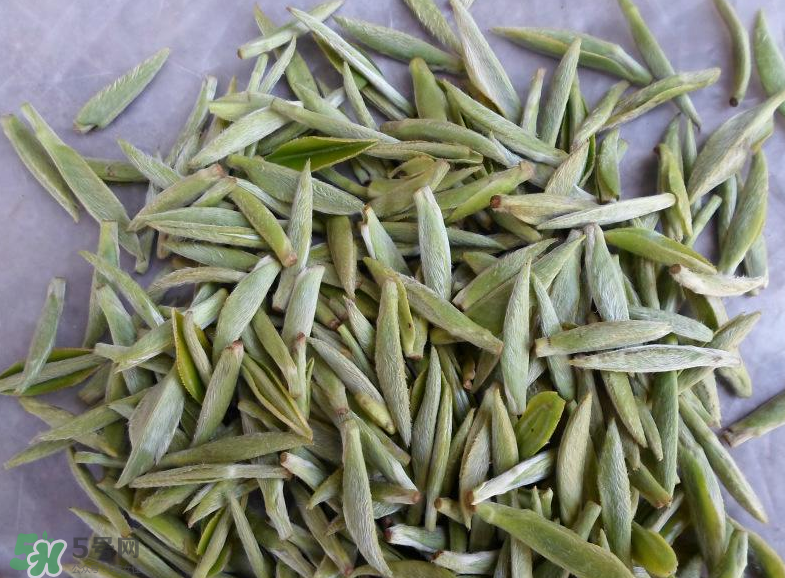 白毫銀針屬于綠茶嗎？白毫銀針是什么茶？