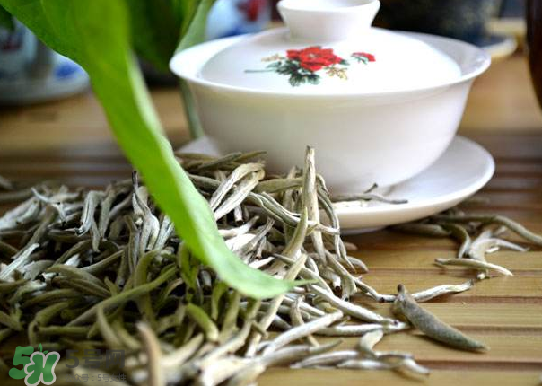 白茶需要洗茶嗎？白茶是洗還是不洗？