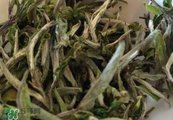 白茶需要洗茶嗎？白茶是洗還是不洗？
