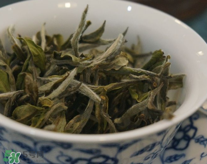 白茶需要洗茶嗎？白茶是洗還是不洗？