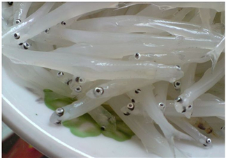 銀魚怎么保存？銀魚可以放在冰箱冷凍保存嗎？