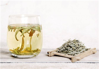 白毫銀針屬于綠茶嗎？白毫銀針是什么茶？