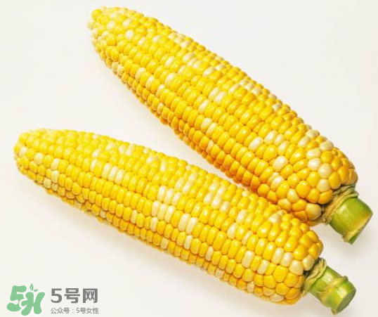 九月份能種玉米嗎？玉米九月份還可以種嗎？