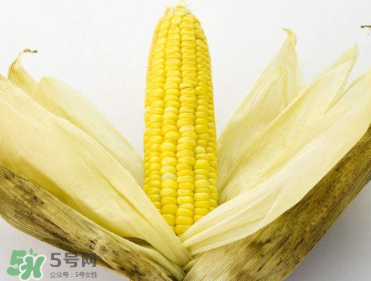 九月份能種玉米嗎？玉米九月份還可以種嗎？