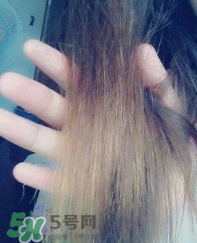 摩洛哥護發(fā)精油是哪個國家的？摩洛哥護發(fā)精油孕婦能用嗎