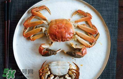 啤酒蒸大閘蟹好吃嗎？啤酒蒸大閘蟹怎么吃？
