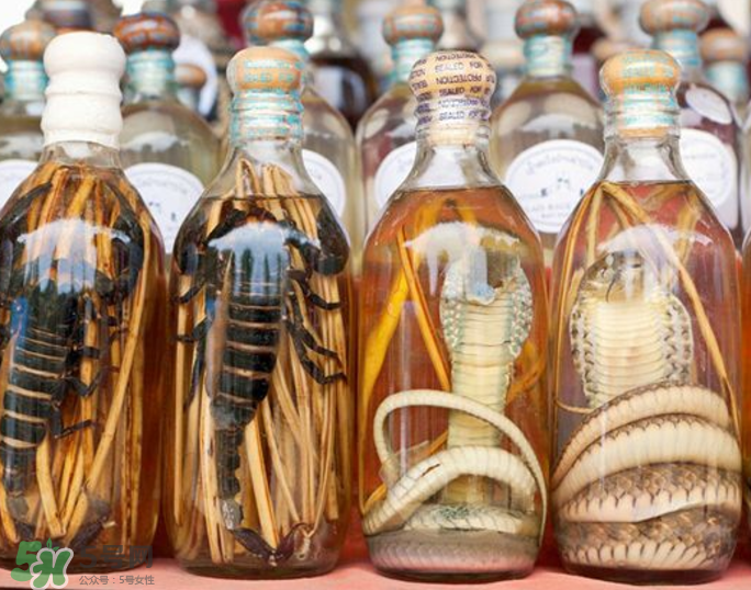 毒蛇泡酒有毒嗎？毒蛇泡酒能喝嗎？