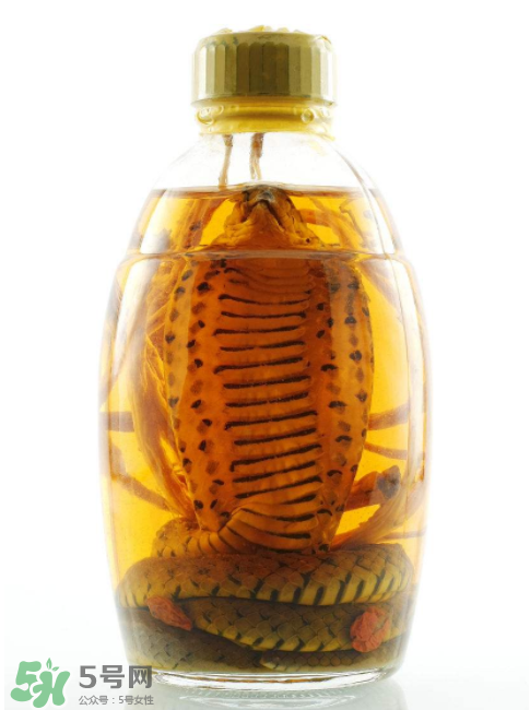 毒蛇泡酒有毒嗎？毒蛇泡酒能喝嗎？
