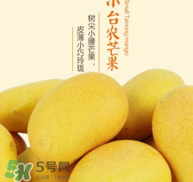 臺農(nóng)芒果多少錢一斤？臺農(nóng)芒果為什么叫臺農(nóng)芒果