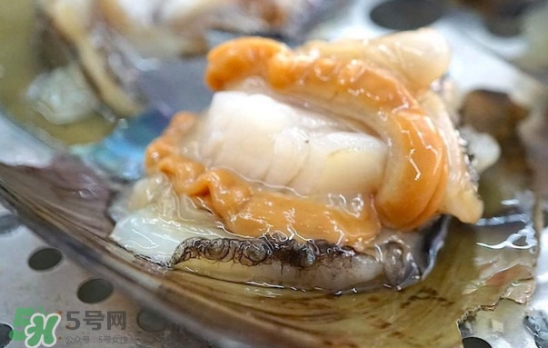 帶子哪里不能吃？帶子有什么營養(yǎng)價值