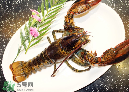 波士頓龍蝦頭能吃嗎？波士頓龍蝦哪里不能吃