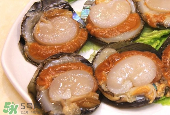 帶子是什么海鮮？帶子是什么東西