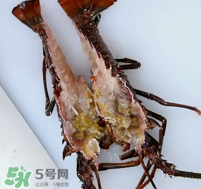 4斤的波士頓龍蝦多少錢？波士頓龍蝦怎么處理