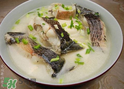 黑魚湯是發(fā)物嗎？黑魚湯可以放香菇嗎