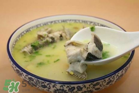 黑魚湯下奶嗎？黑魚湯是下奶還是回奶