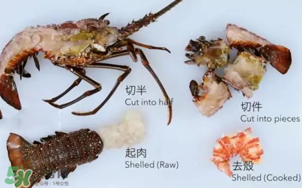 波士頓龍蝦有多大？波士頓龍蝦怎樣去殼