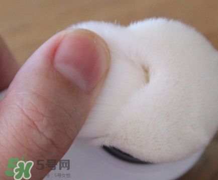 neogen妮珍面膜怎么樣？冷門性價比高的面膜