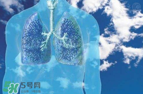 秋季如何護(hù)肺？秋季護(hù)肺小妙招