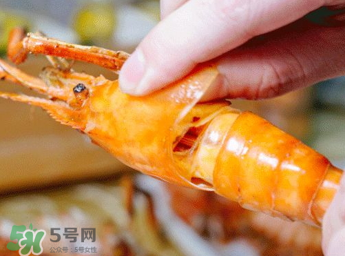 大頭蝦怎么做好吃？大頭蝦怎么處理？