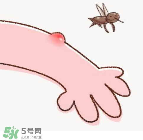 秋天有蚊子嗎？秋天有蚊子怎么辦？