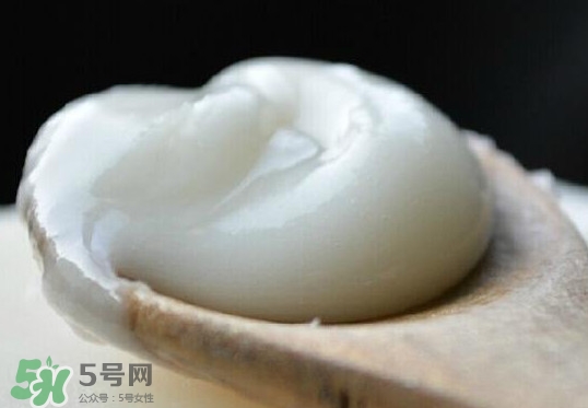 椴樹蜜可以泡檸檬嗎？椴樹蜜放冰箱冷藏好還是冷凍好