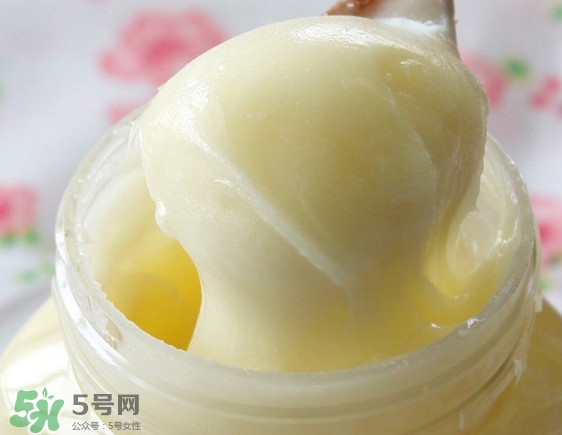 椴樹(shù)蜜什么時(shí)候喝好？椴樹(shù)蜜什么季節(jié)有