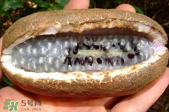 八月瓜能吃嗎？八月瓜到底有什么價值？