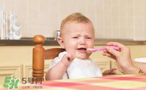 寶寶輔食可以吃哪些蔬菜？寶寶吃蔬菜泥的最佳時間