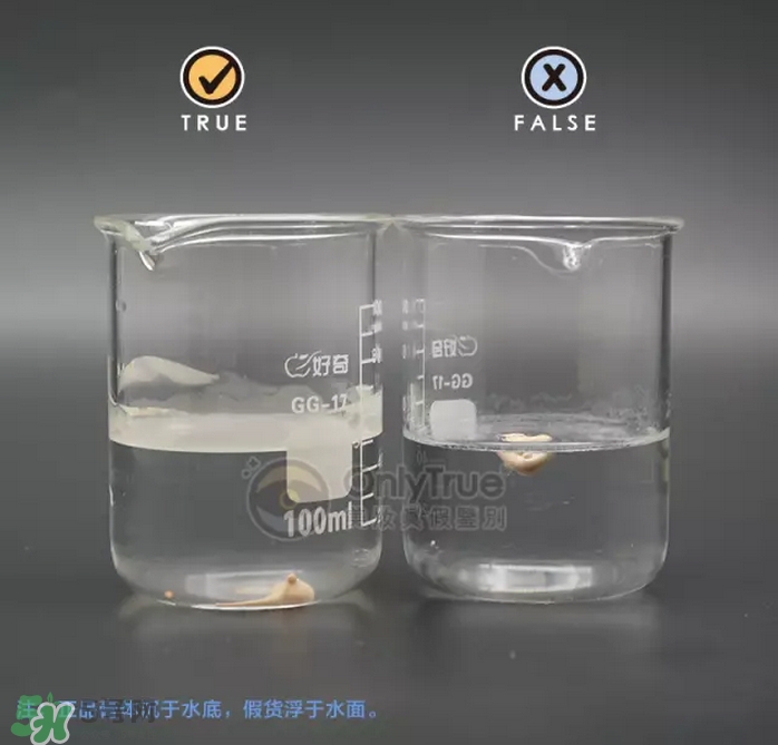 雅詩蘭黛DW粉底液真假怎么辨別-真假鑒定對(duì)比圖